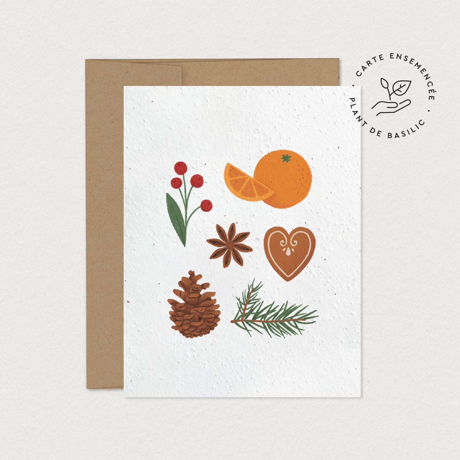 Carte de souhaits ensemencée | Coffret de 6 cartes| Plant de basilic