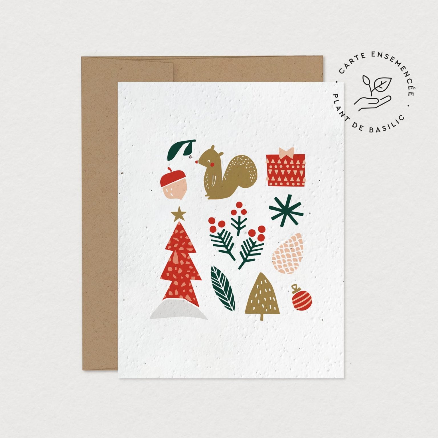 Carte de souhaits ensemencée | Coffret de 6 cartes| Plant de basilic