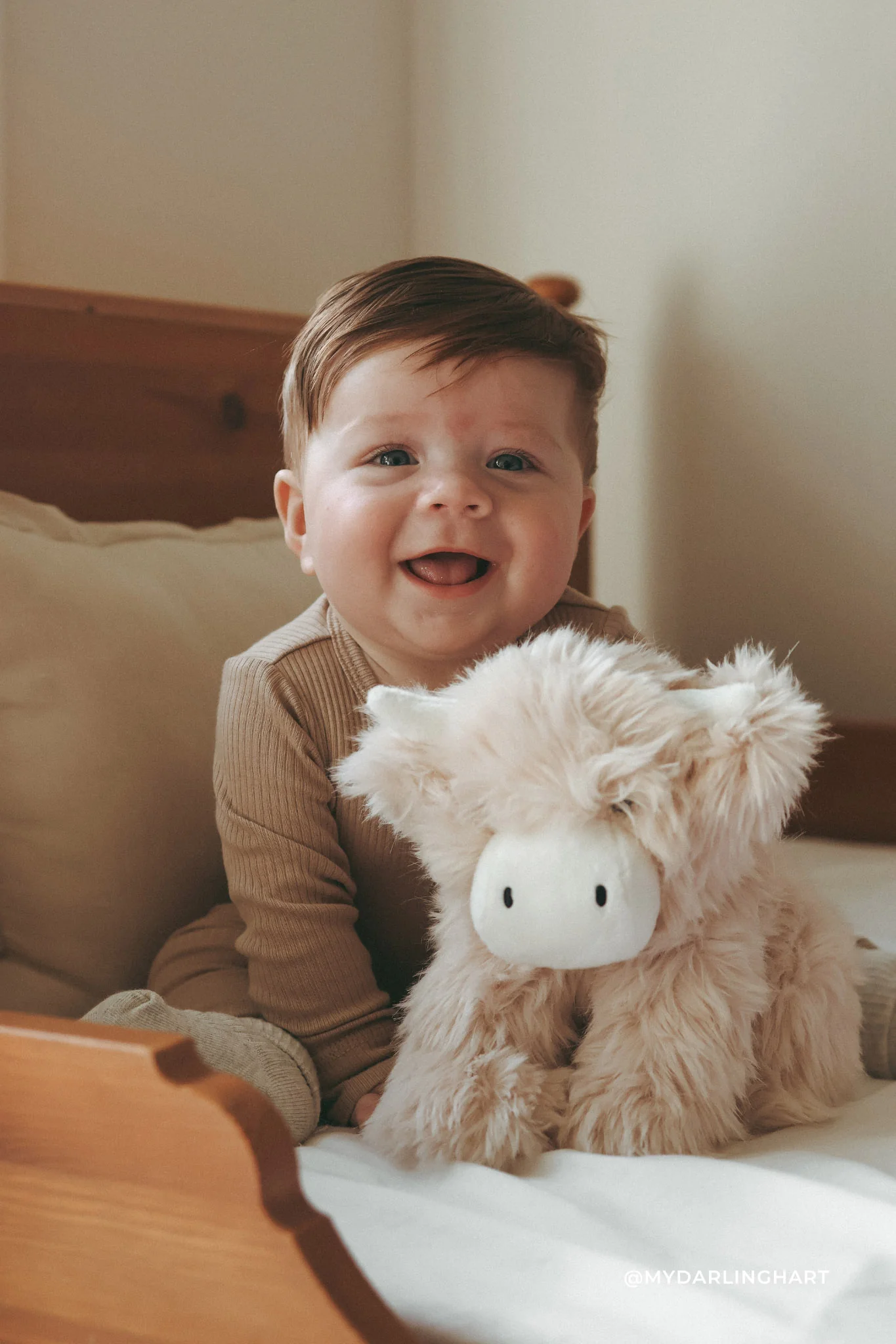 Peluche | Hilda la vache Highland