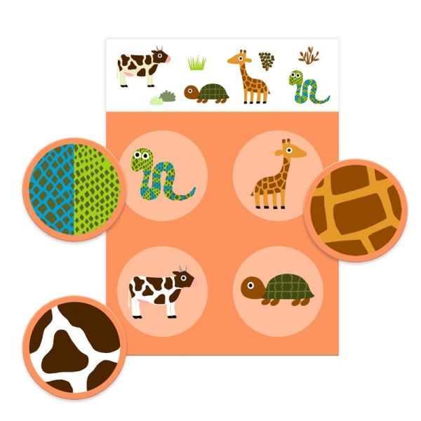 Bingo | Feathers and Fur