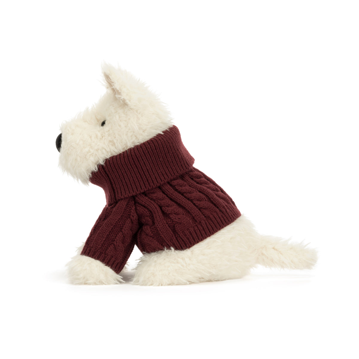 Munro le chien écossais avec pull d'hiver