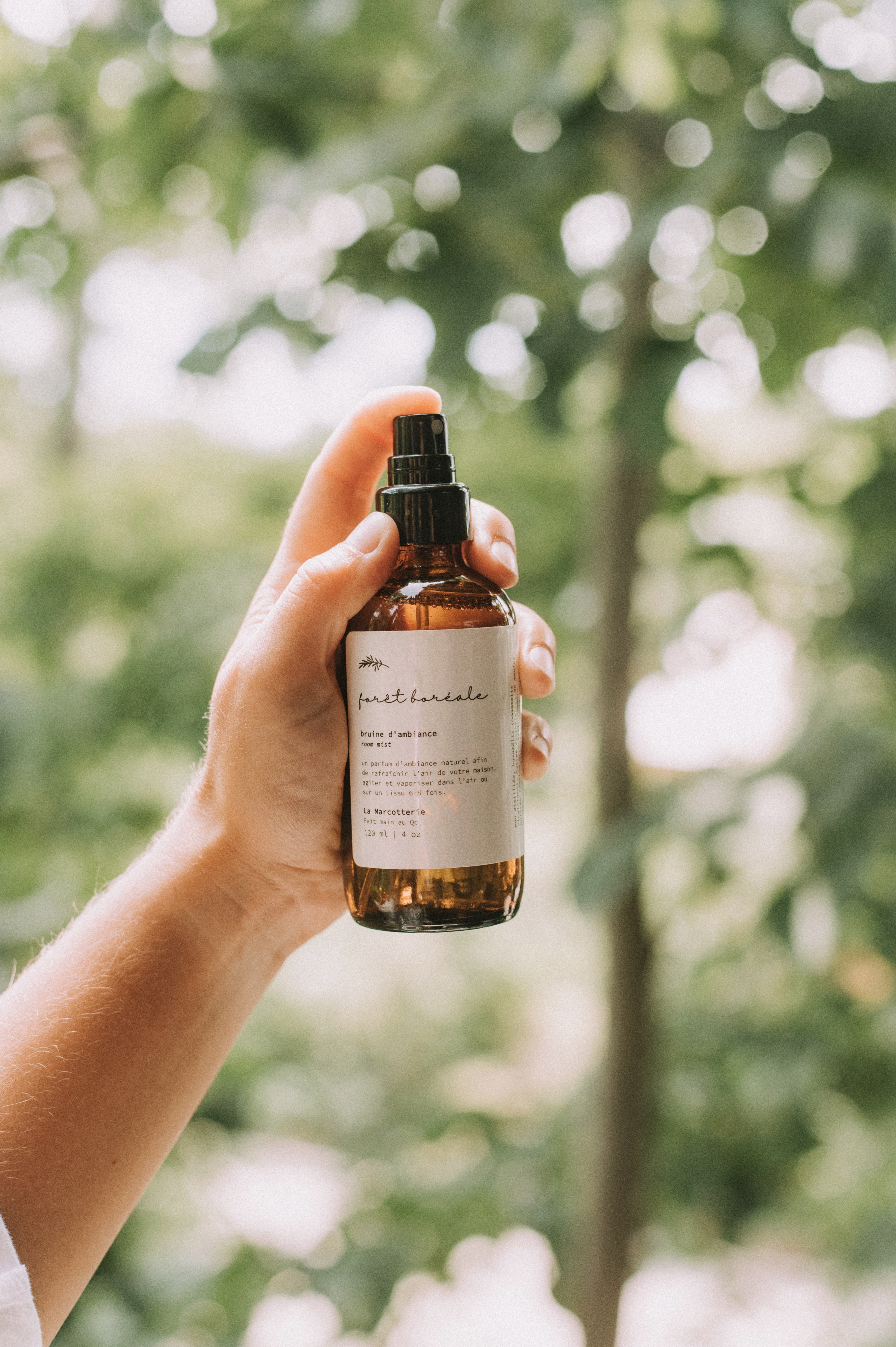 Bruine d'ambiance | Forêt Boréale