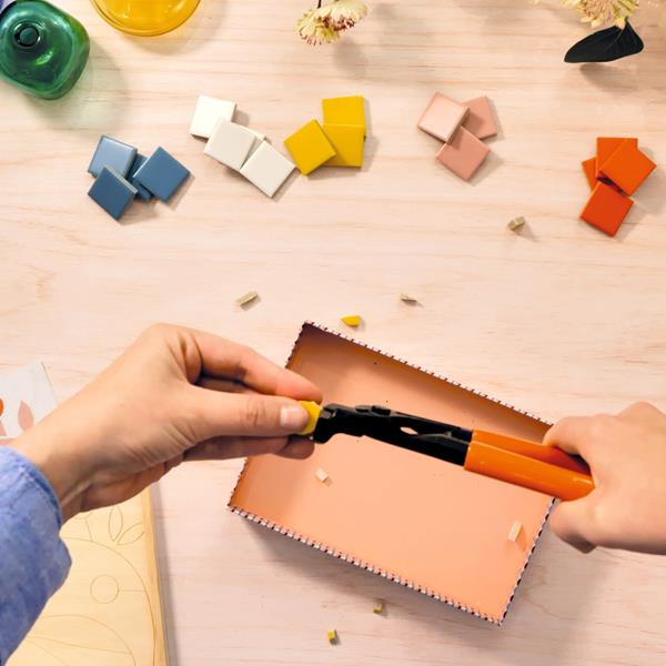 Mosaic Workshop 72 | Dragonfly