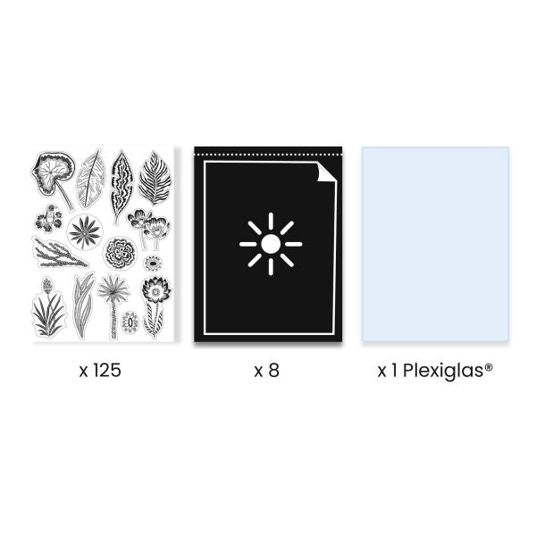 Cyanotype | Night-time in the Savannah