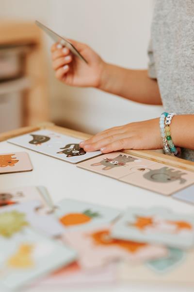 Set of 12 Duo Puzzles | Colors