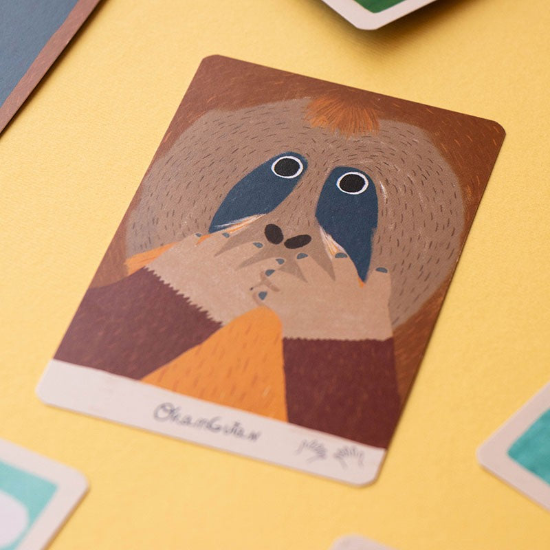 Imitation and Memory Game | Orangutan