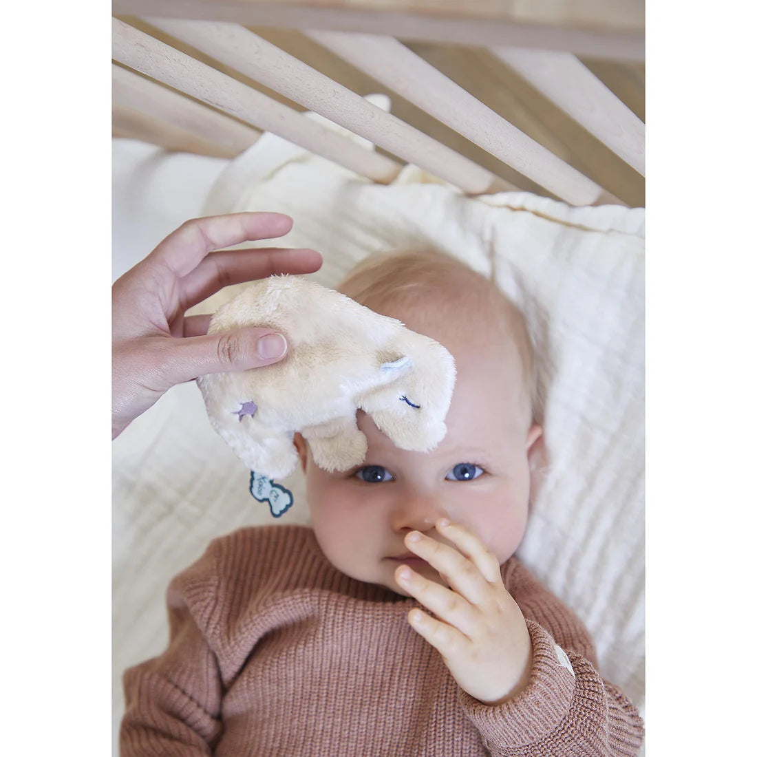 Soothing pouch | Bear