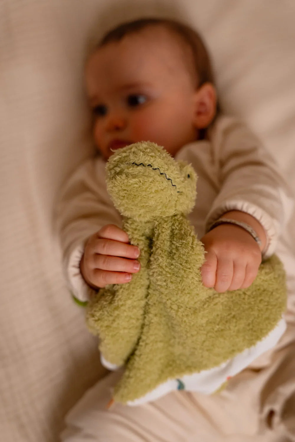 Baby Gift Box | Dino