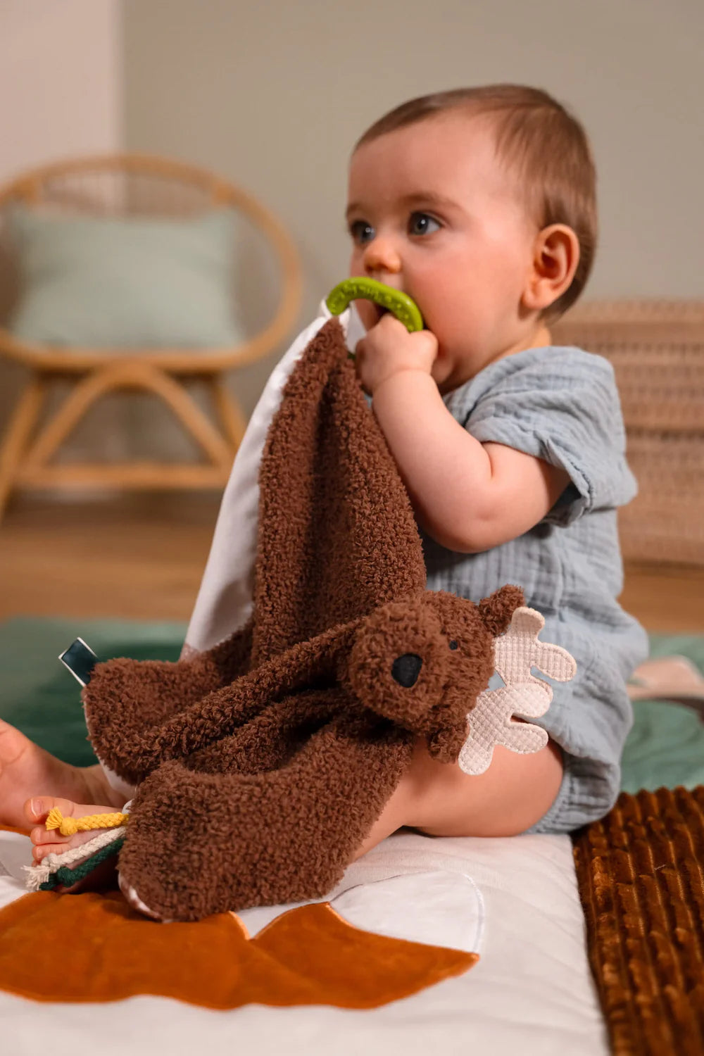 Coffret cadeau bébé | Forêt