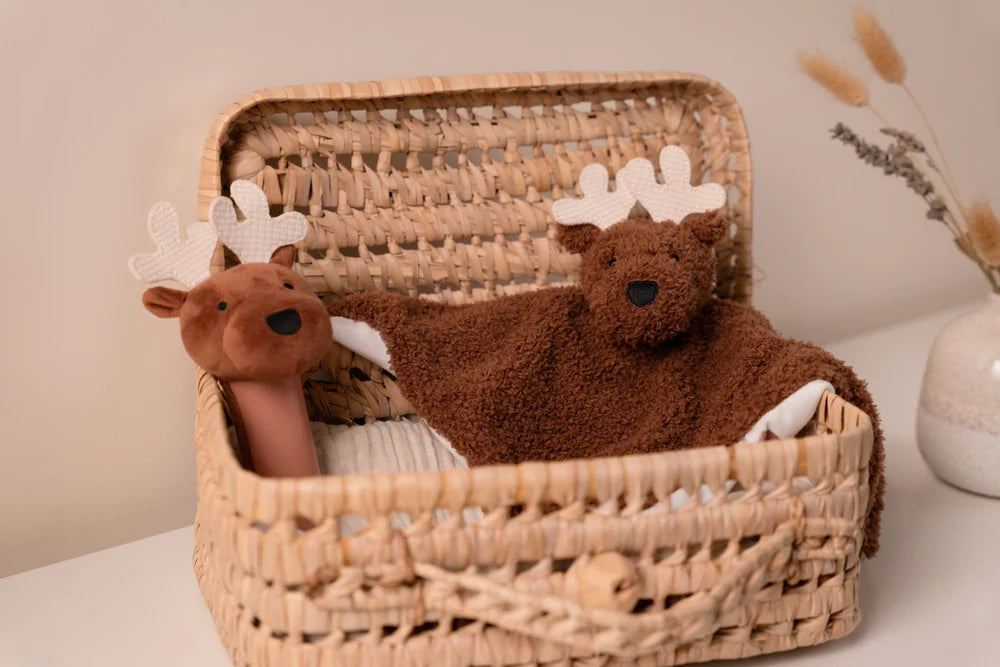 Baby Gift Box | Forest