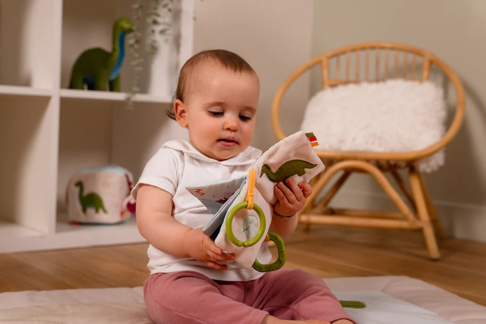 Le Livre doux pour bébé | Dino