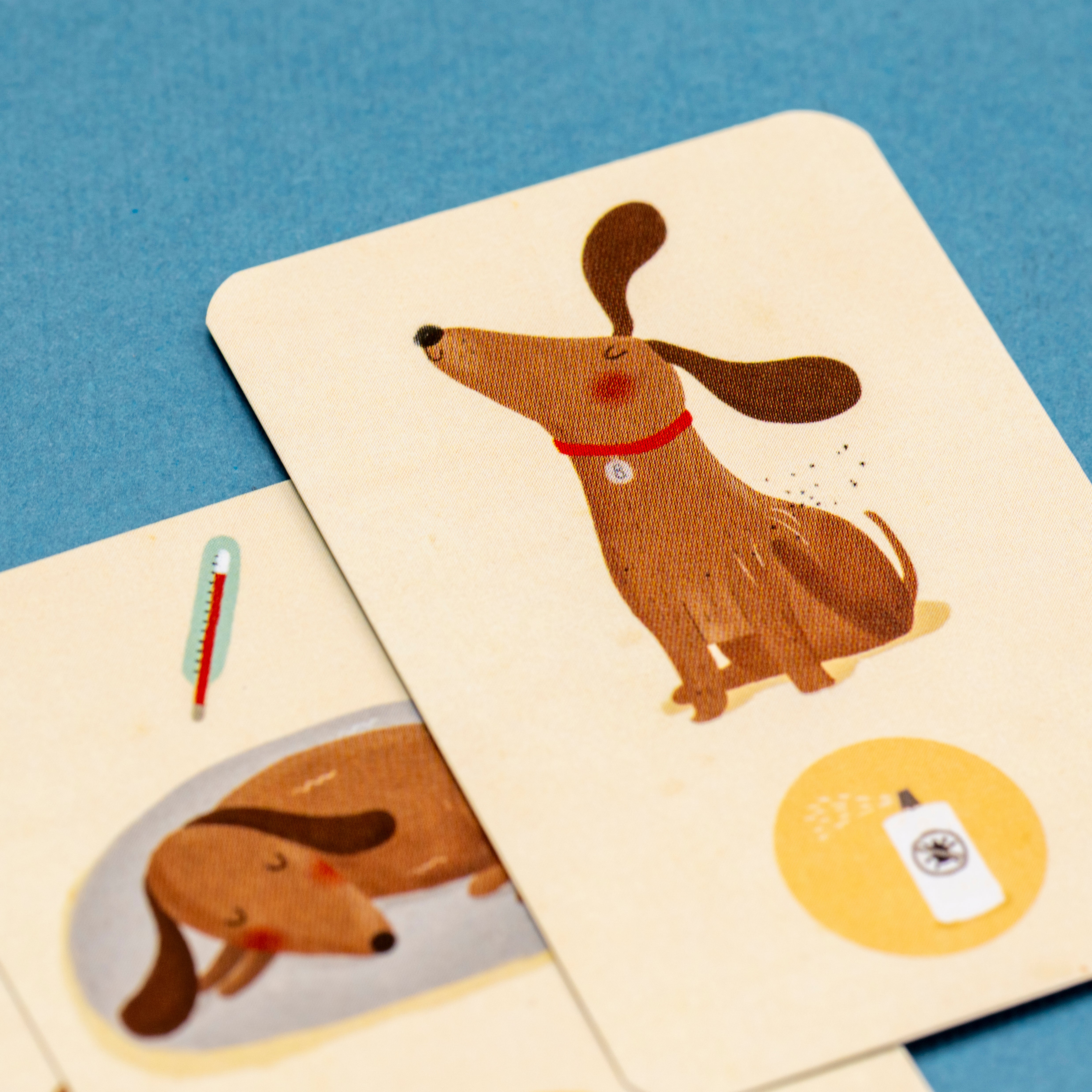 Tiny memory game | Bobby & Misha