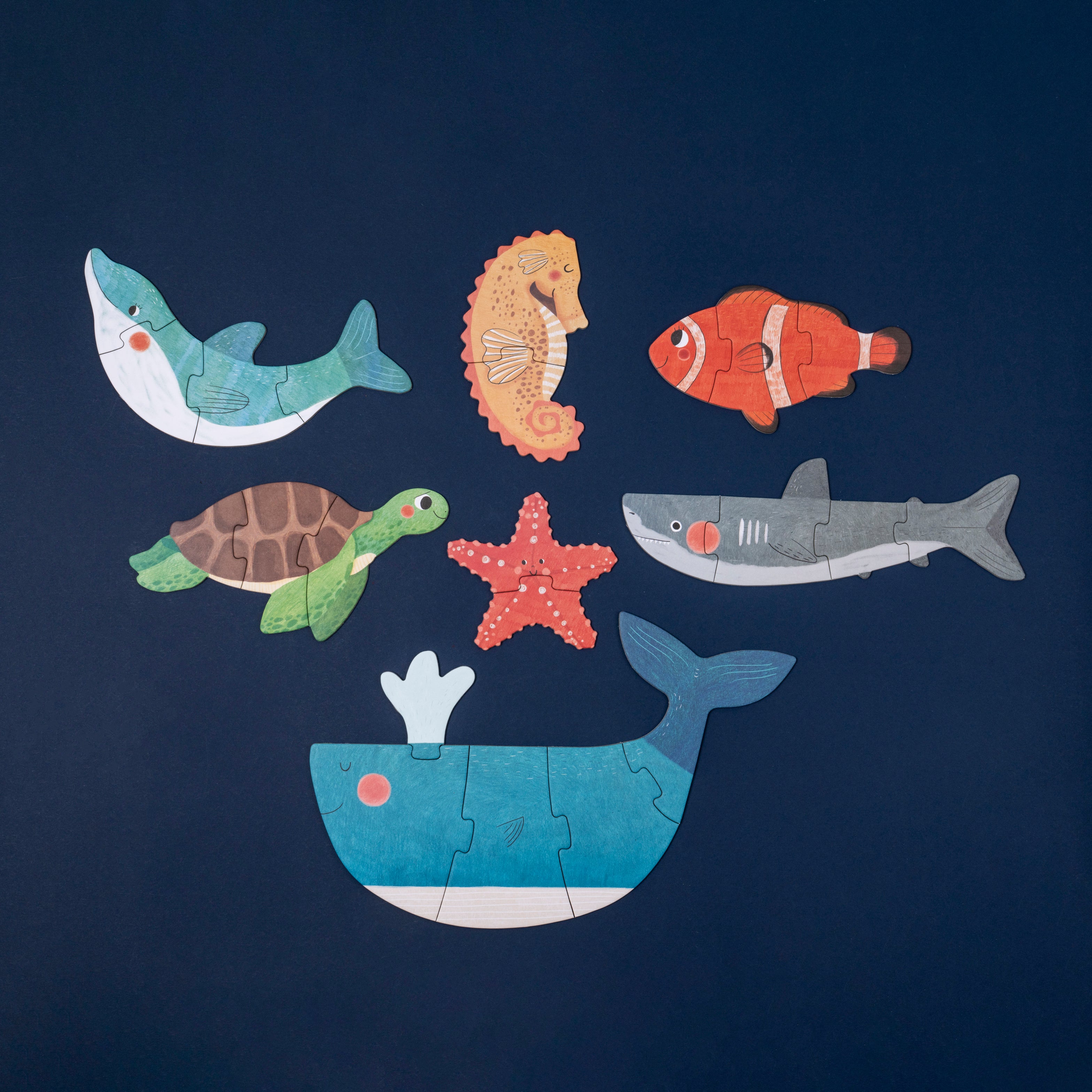Set of 7 progressive & reversible puzzles | Blue