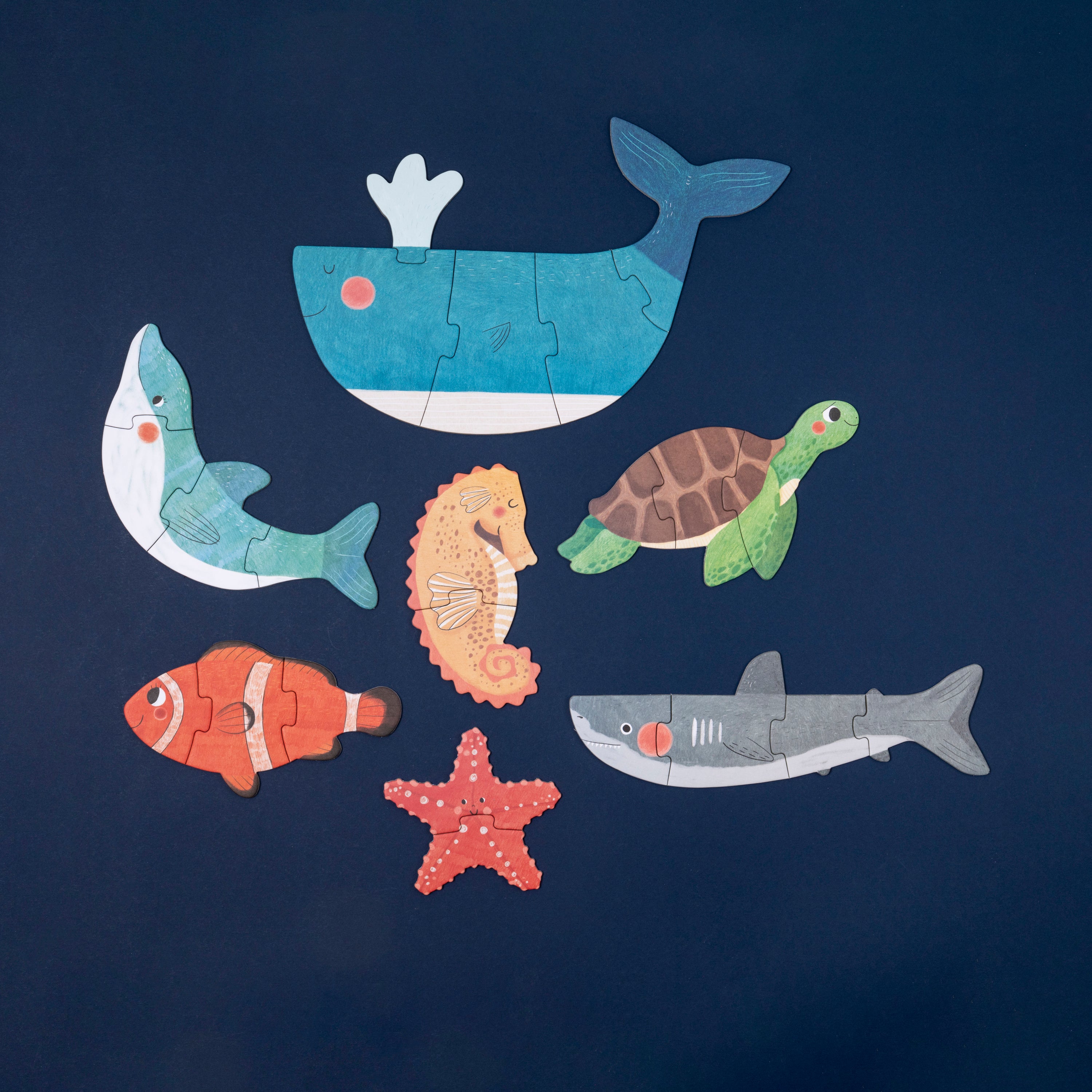 Set of 7 progressive & reversible puzzles | Blue