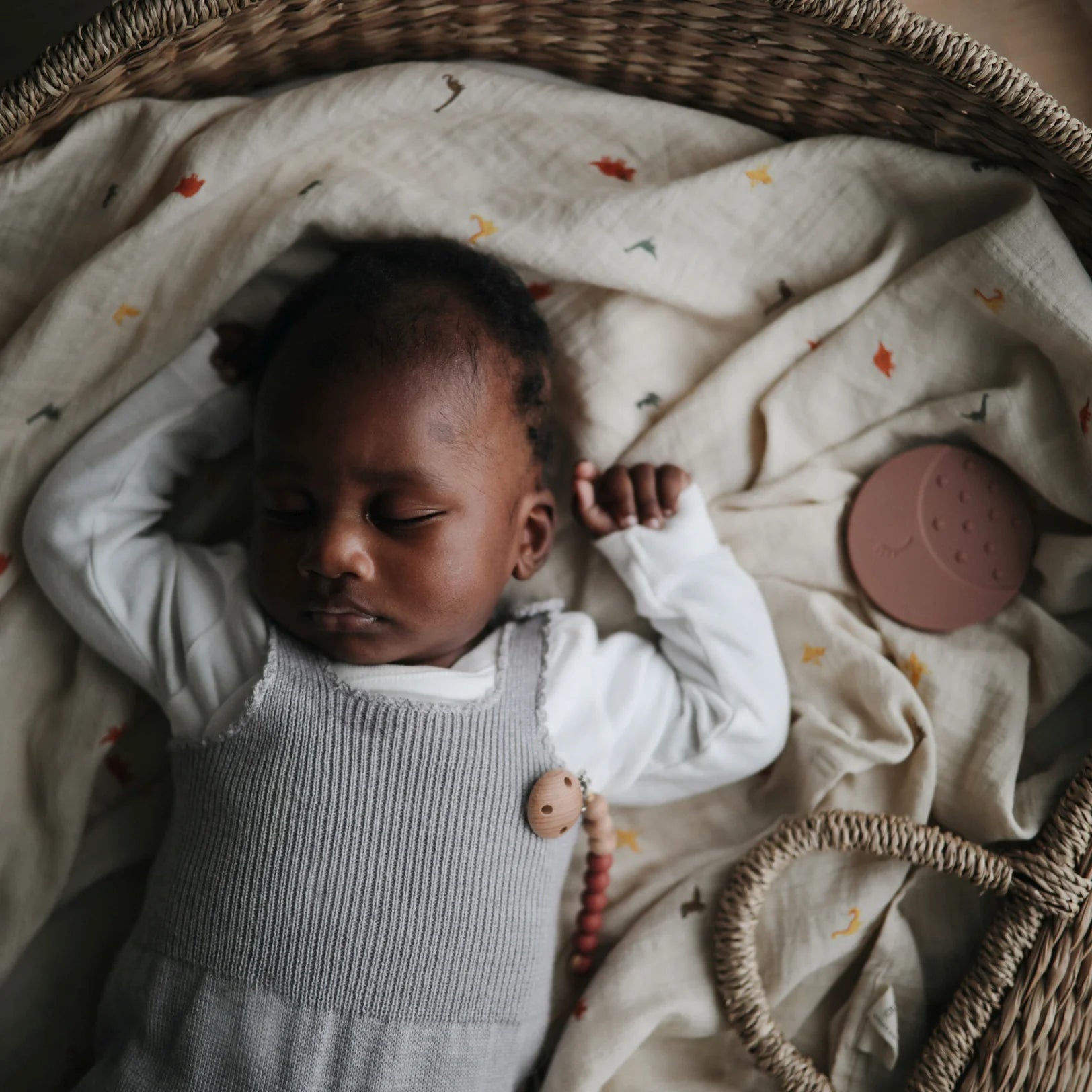 Mousseline en coton organique | Dinosaures