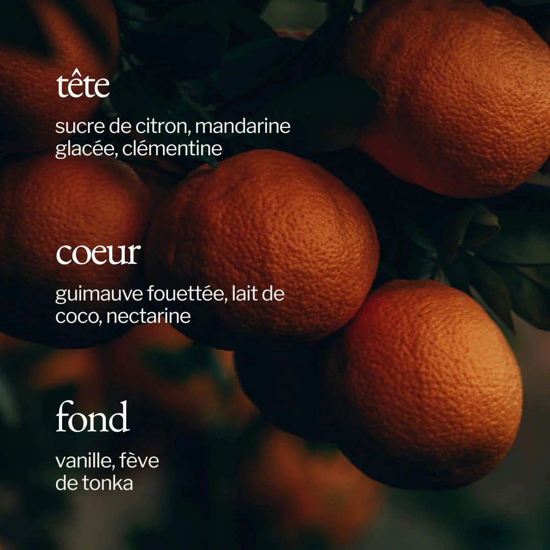 Bougie | Guimauve + Clémentine