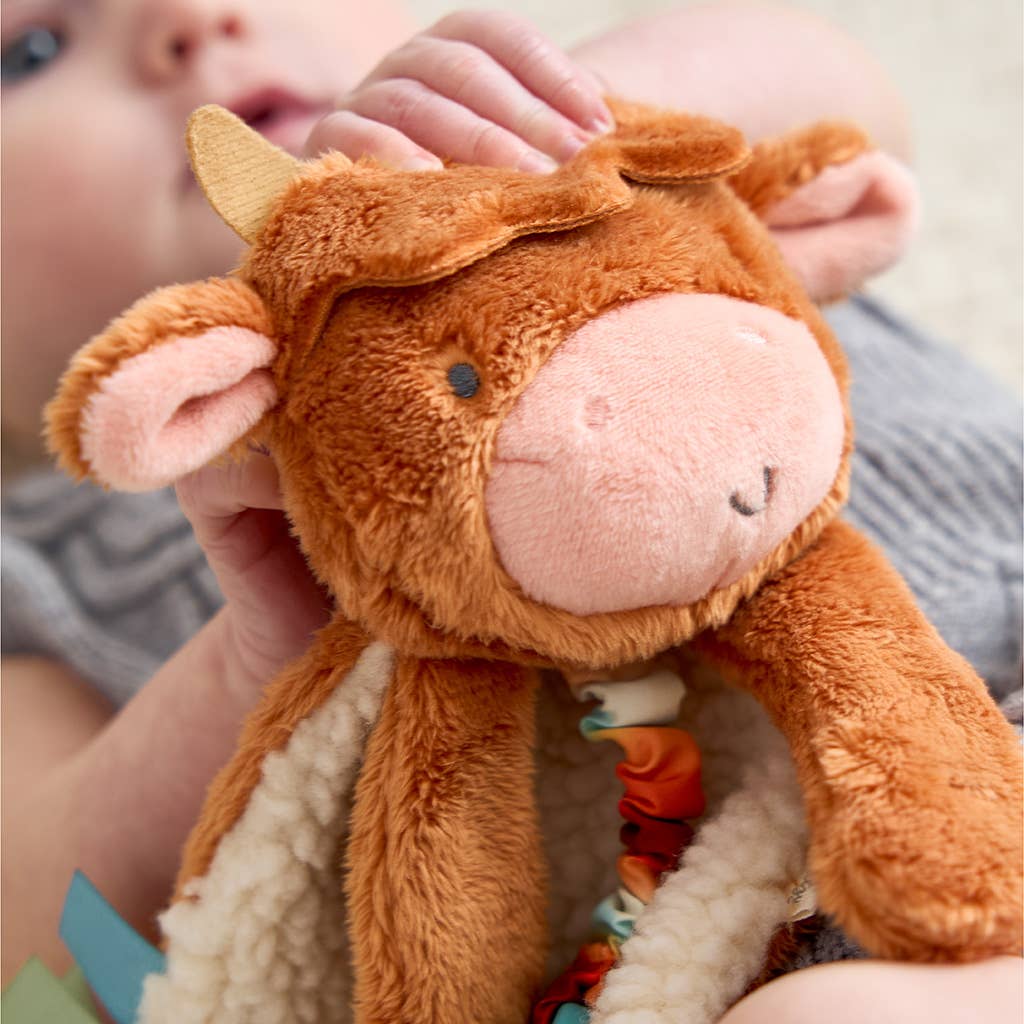 Peluche avec jouet de dentition | Itzy Friends Lovey™ Théo l'Ours