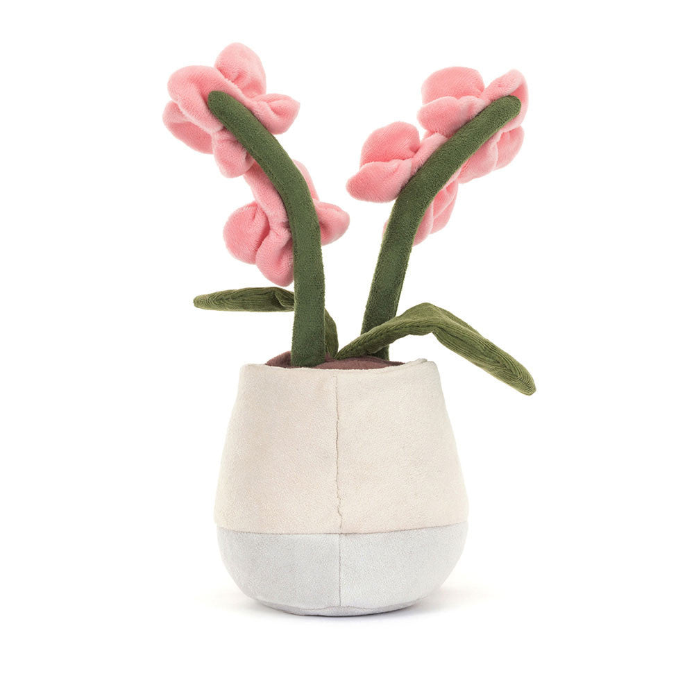 Peluche | Orchidée rose amusante