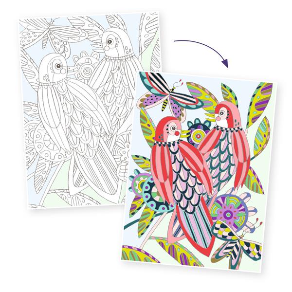 Coloriage | Gallery | Oiseaux