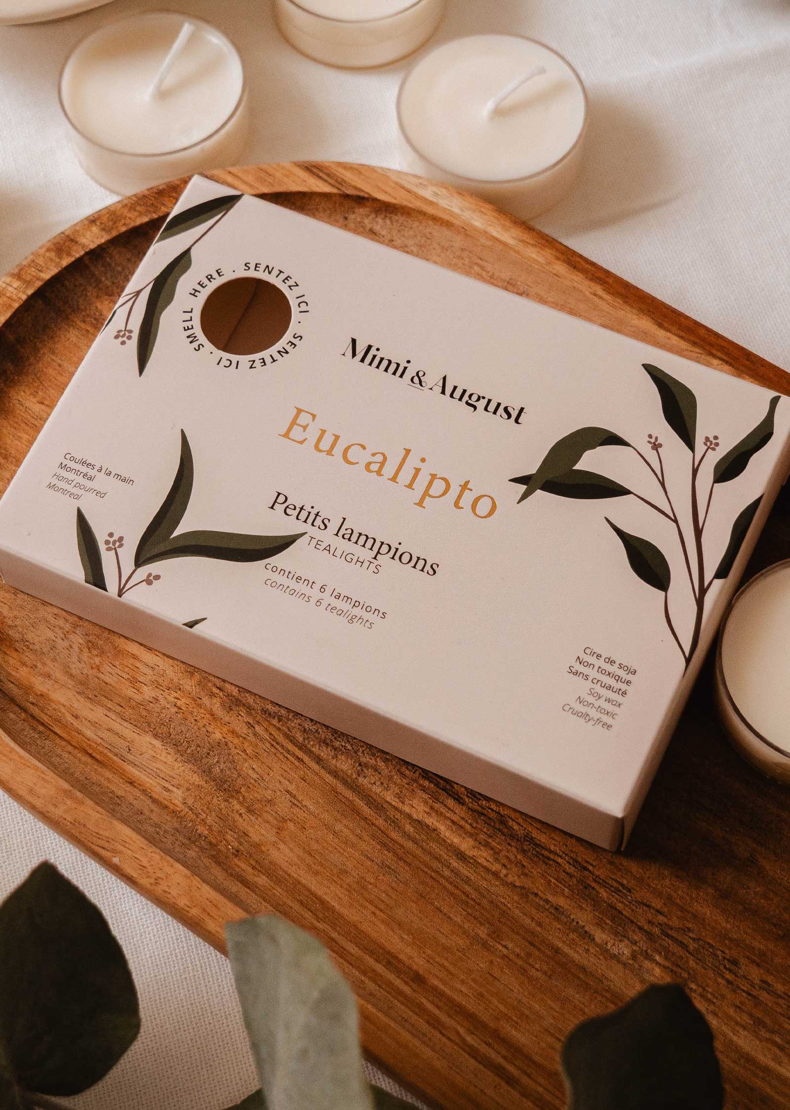 Ensemble de 6 lampions | Eucalipto