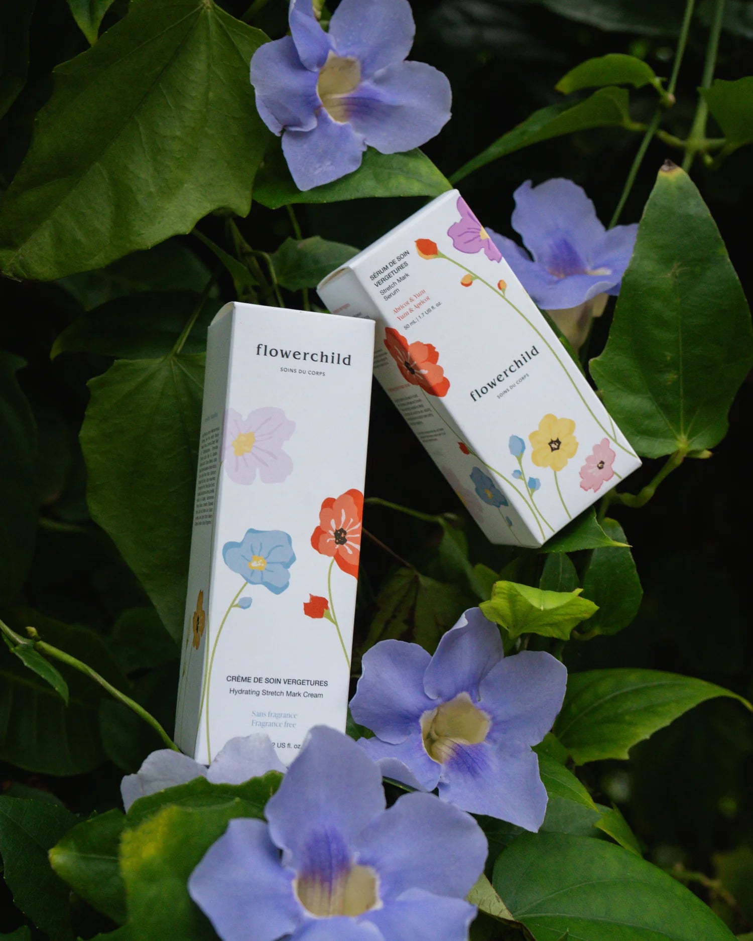 Coffret | Duo de soins vergetures