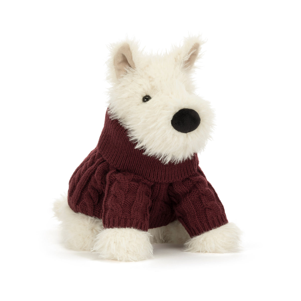 Munro le chien écossais avec pull d'hiver