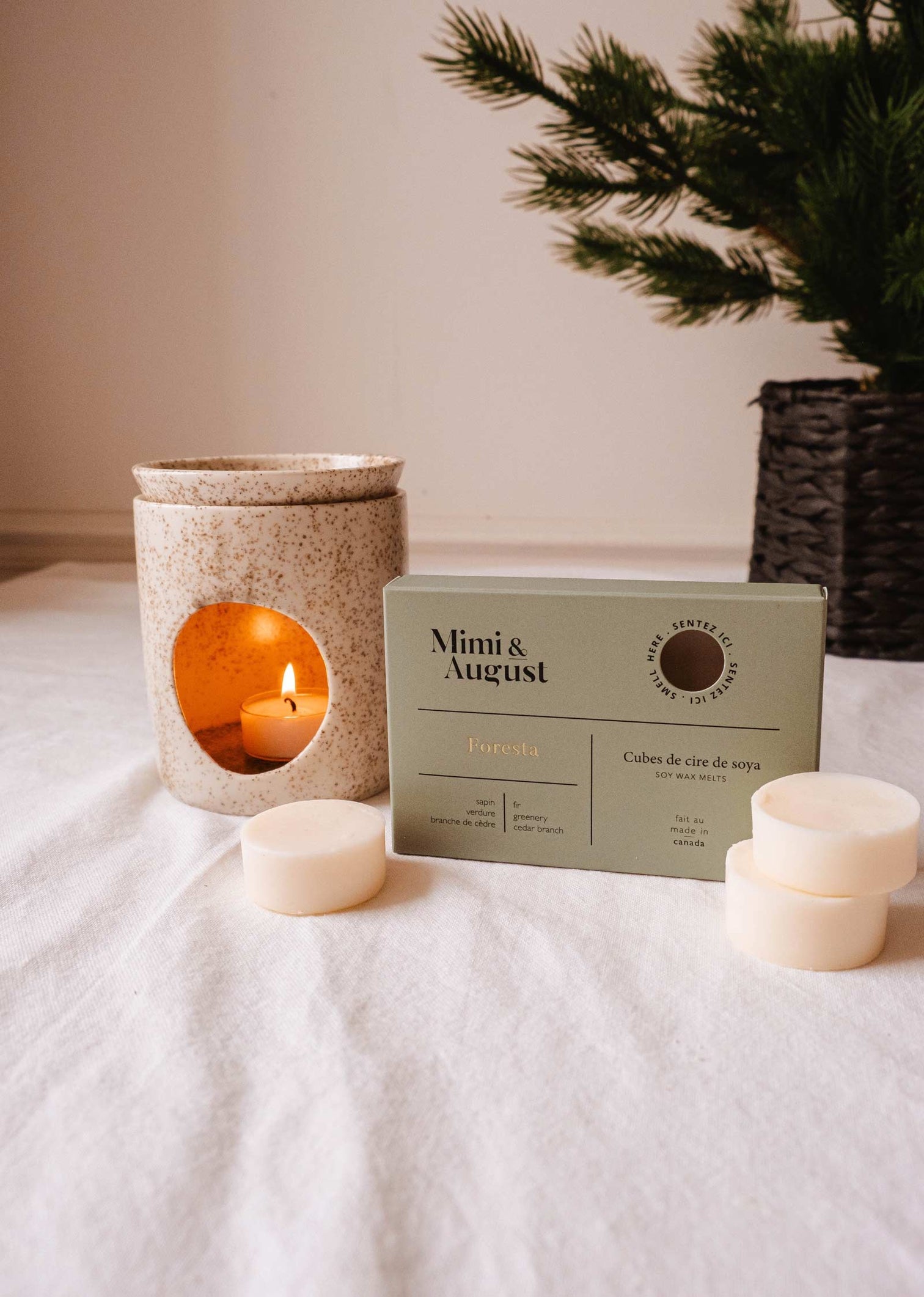 Cubes de cire de soja | Foresta