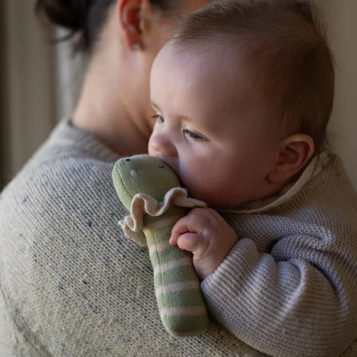 Hochet en tricot | Grenouille