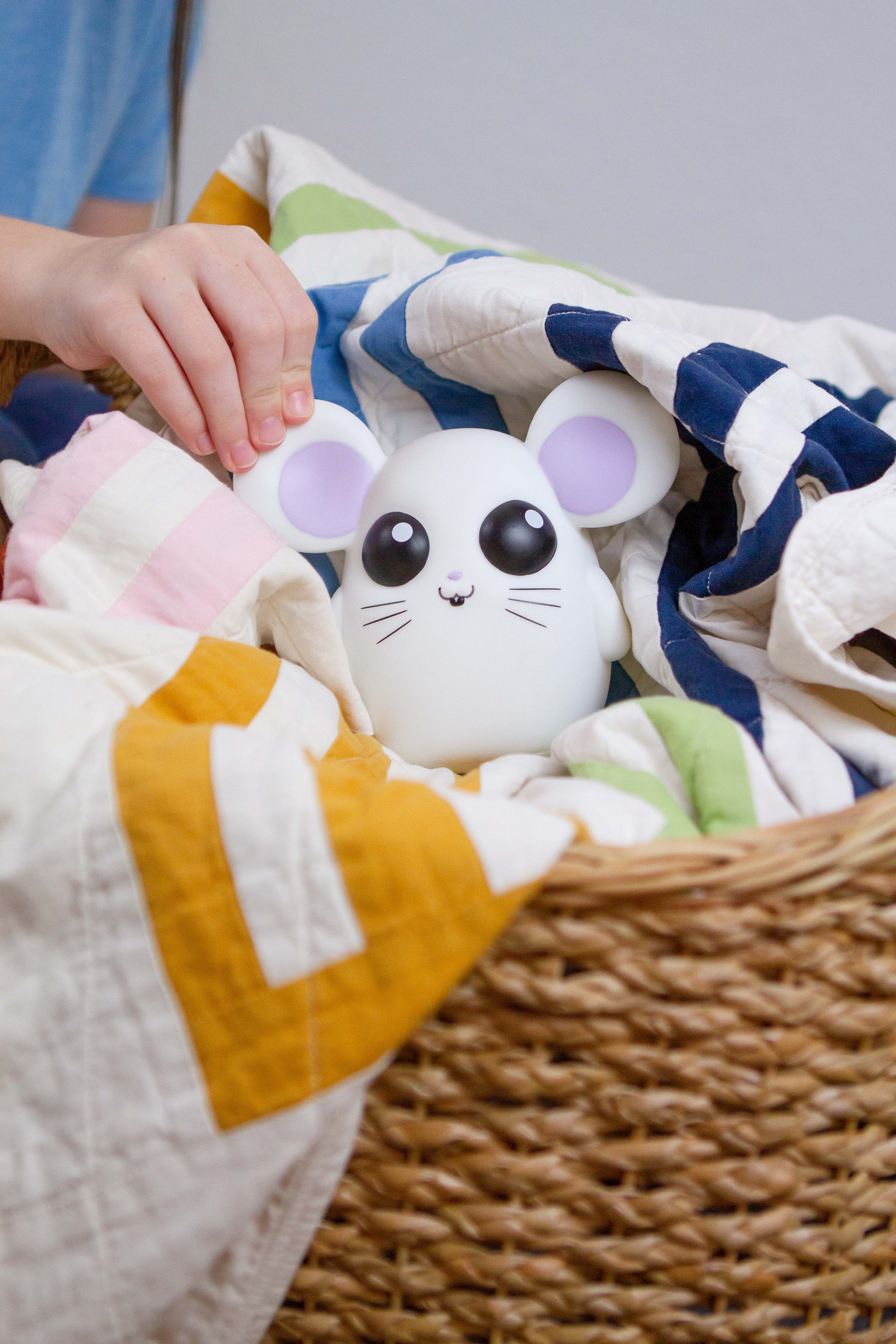 Interactive Hide-and-Seek Game | Cachette Souricette