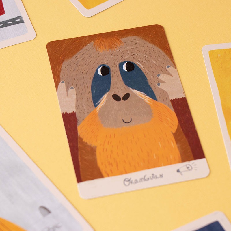 Imitation and Memory Game | Orangutan