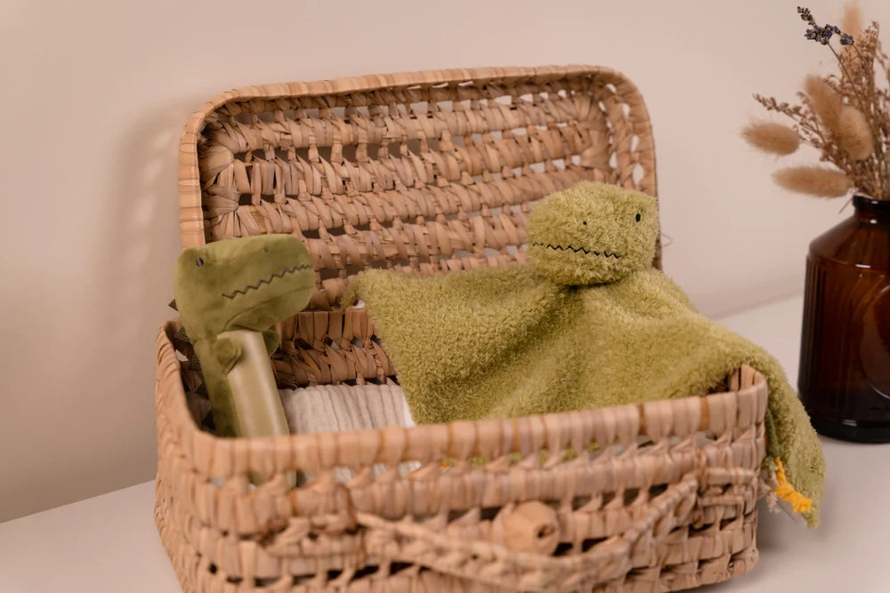 Baby Gift Box | Dino