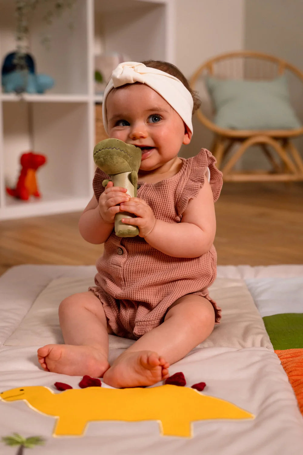 Baby Gift Box | Dino