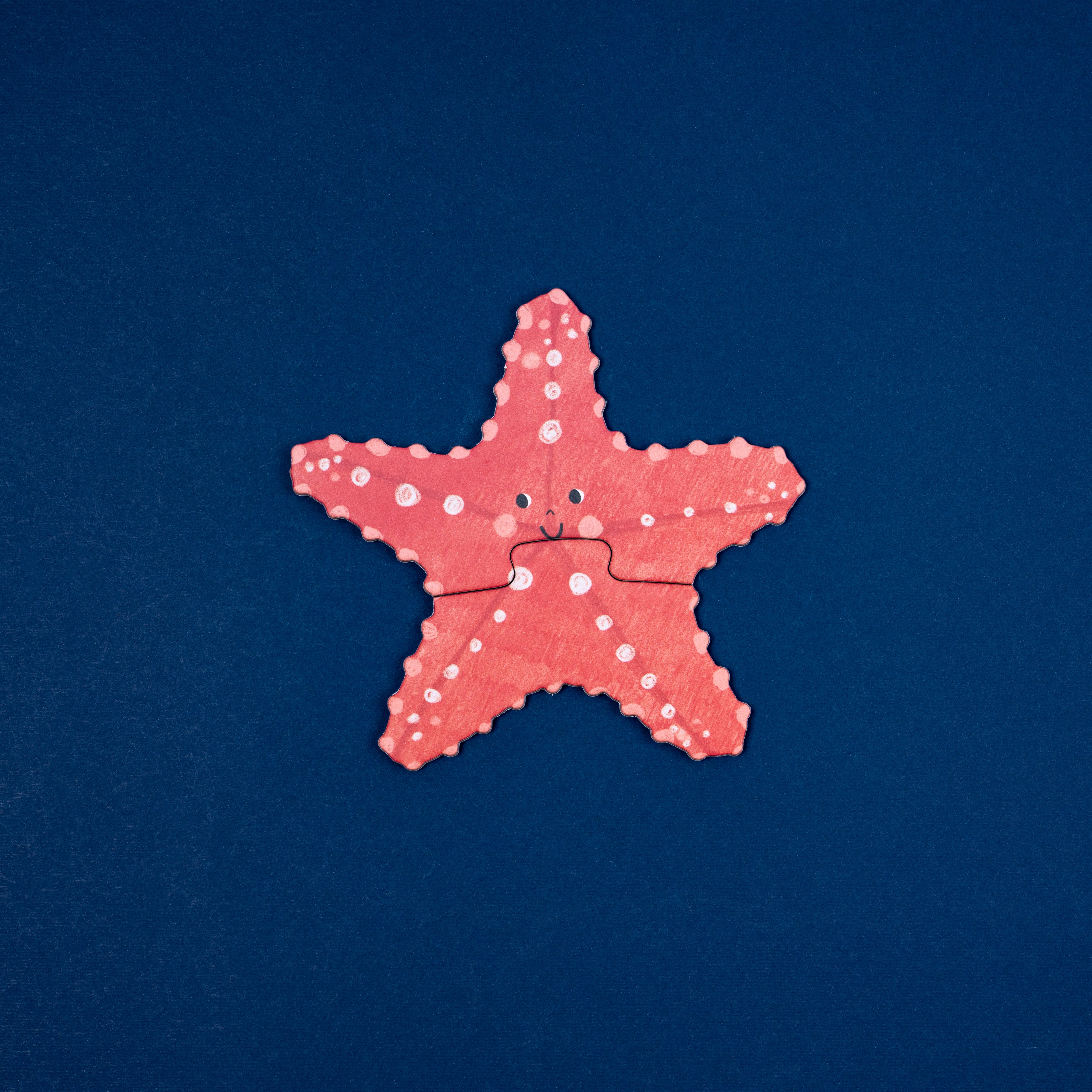 Set of 7 progressive & reversible puzzles | Blue