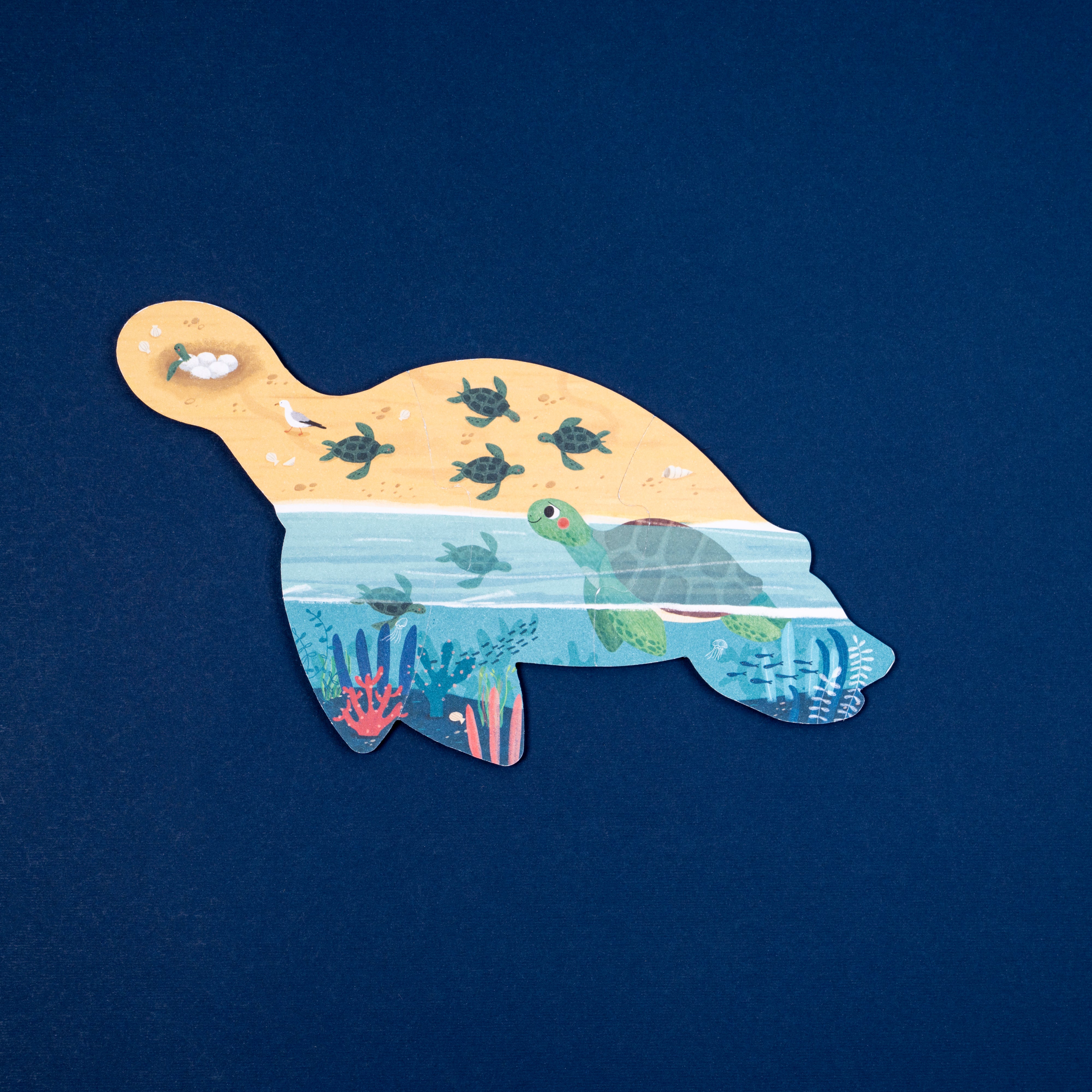 Set of 7 progressive & reversible puzzles | Blue