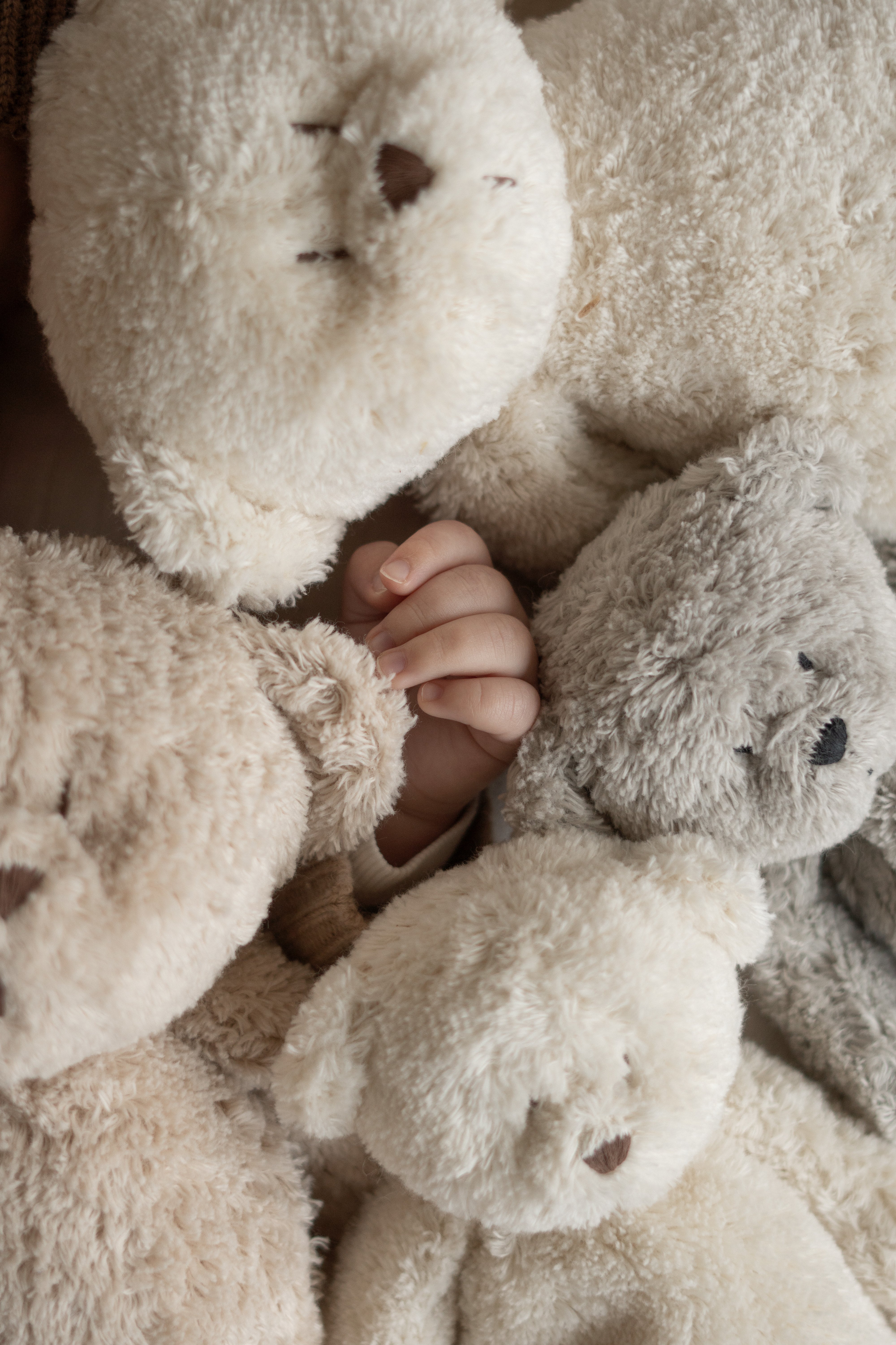 Sensory Little plush | Teddy Sand 