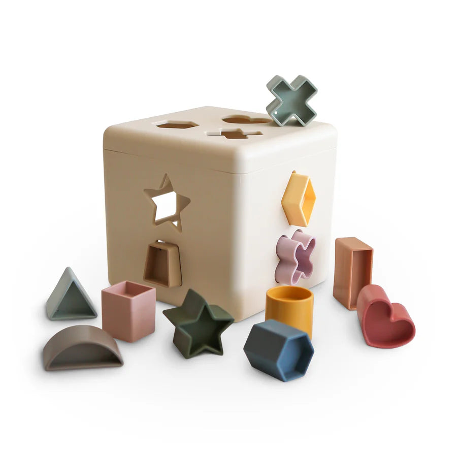 Sorting toy | Shape sorting box