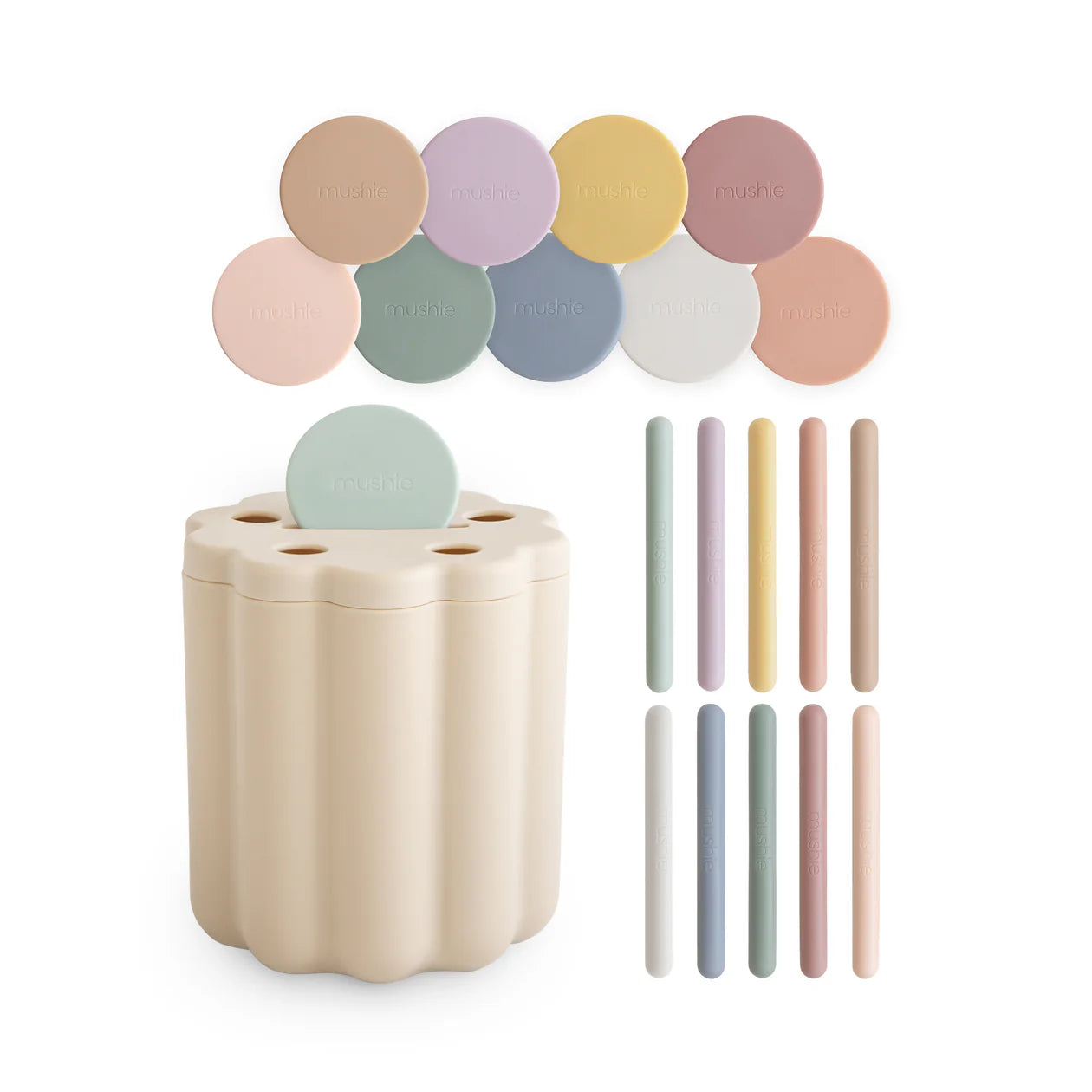 Sorting Set | Coin & Tube 